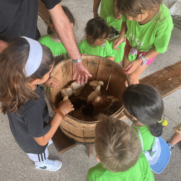 campi_estivi_new_contesto_centro_studi_per_bambini_ragazzi_esperienze_laboratorio_cuccioli