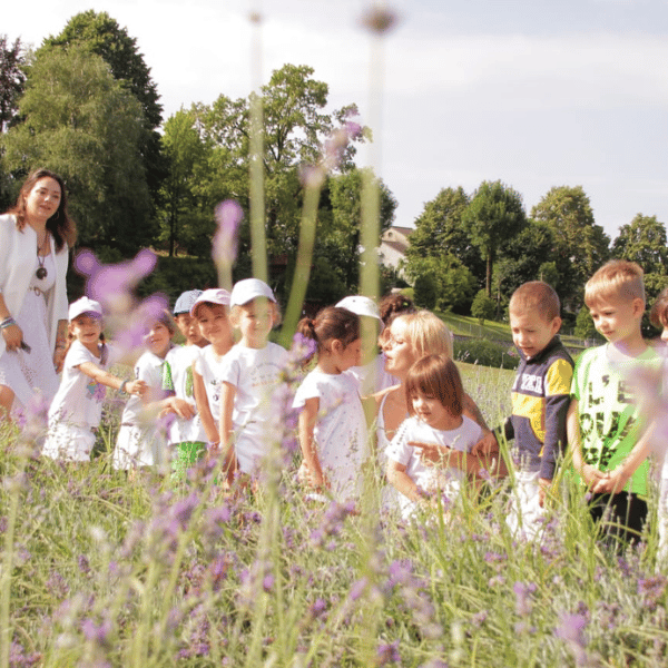 campi_estivi_new_contesto_centro_lezioni_per_bambini_ragazzi_esperienze_campo_lavanda